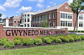 Gwynedd Mercy University Student Portal Login - Https://my.gmercyu.edu ...